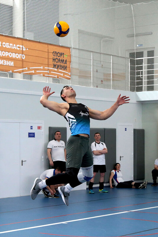 Волейбол. Силовая подача - Сергей Сомихин