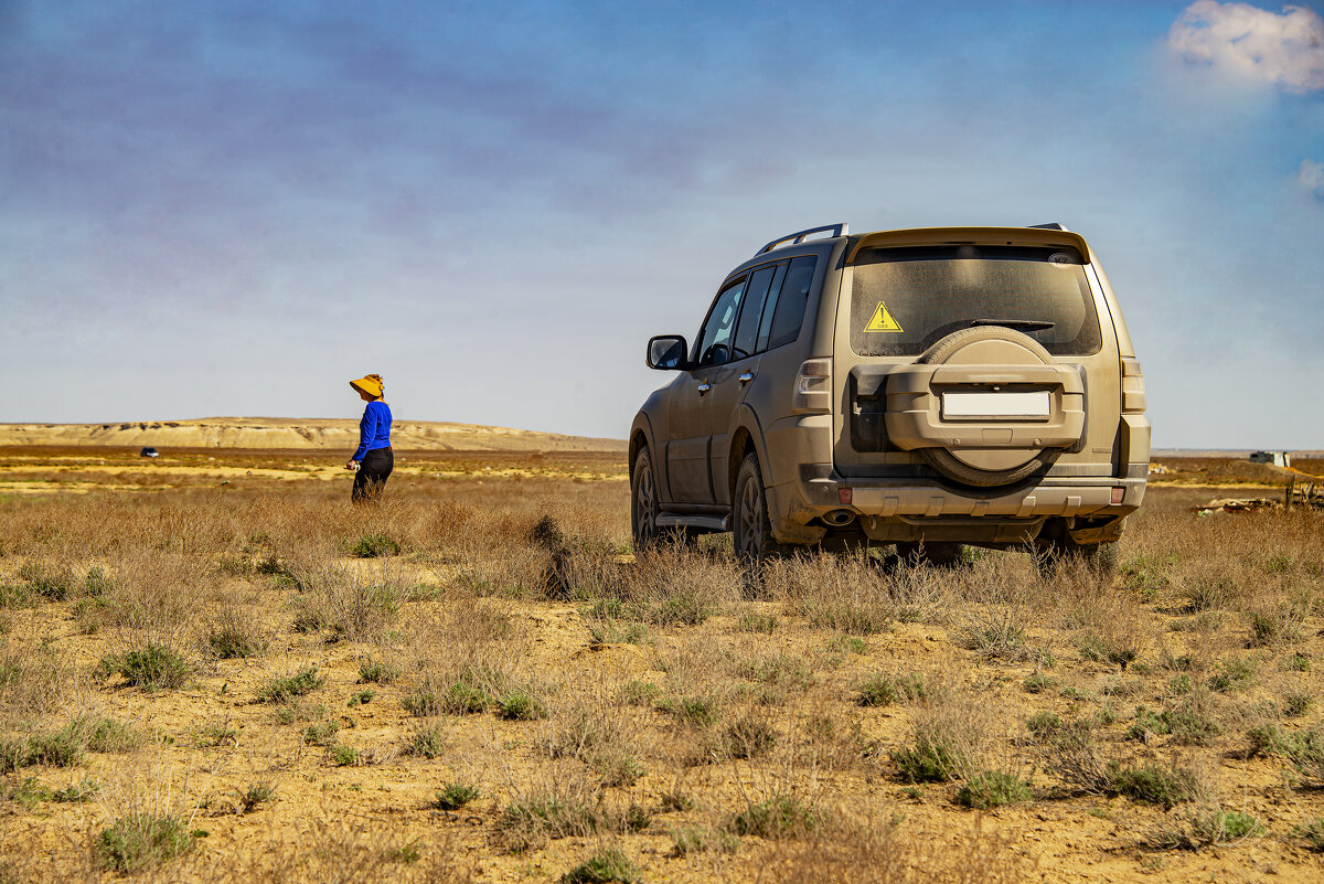 Только небо и степь - Анатолий Чикчирный