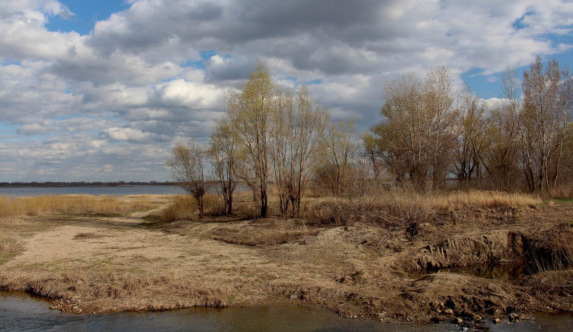 Апрельский пейзажъ - Олегъ Петрович