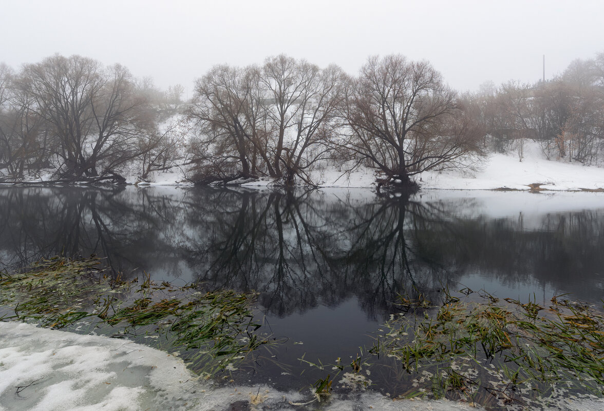 **** - Виталий Емельянов