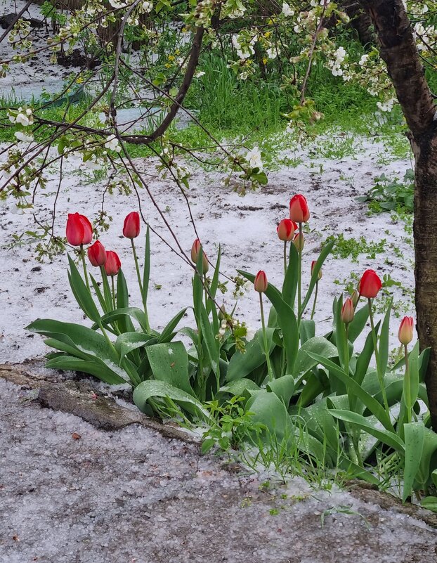 После стихии... - Наталья 