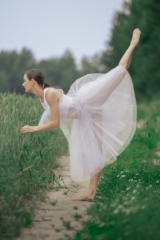 * - Евгений Ваулин