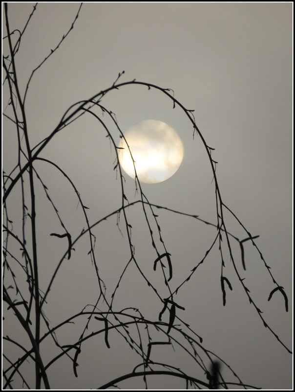 Туманное утро. - Егор Бабанов