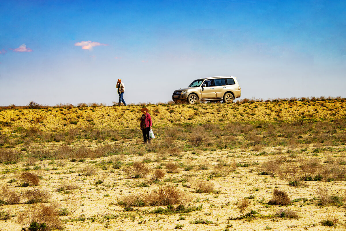 Грибники - Анатолий Чикчирный
