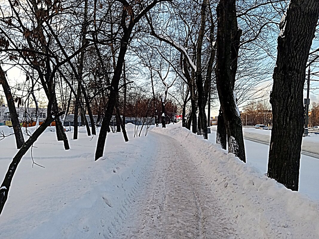 Зима. - Владимир Драгунский