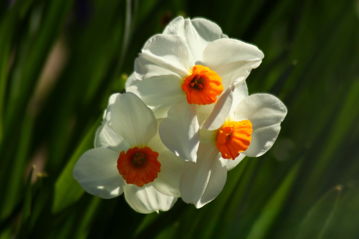 Доброе утро - Юрий. Шмаков