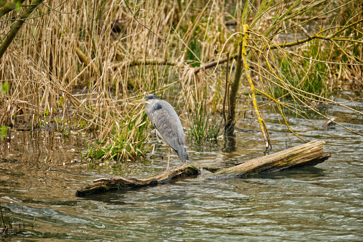 Озеро Падер - Jakob Dick