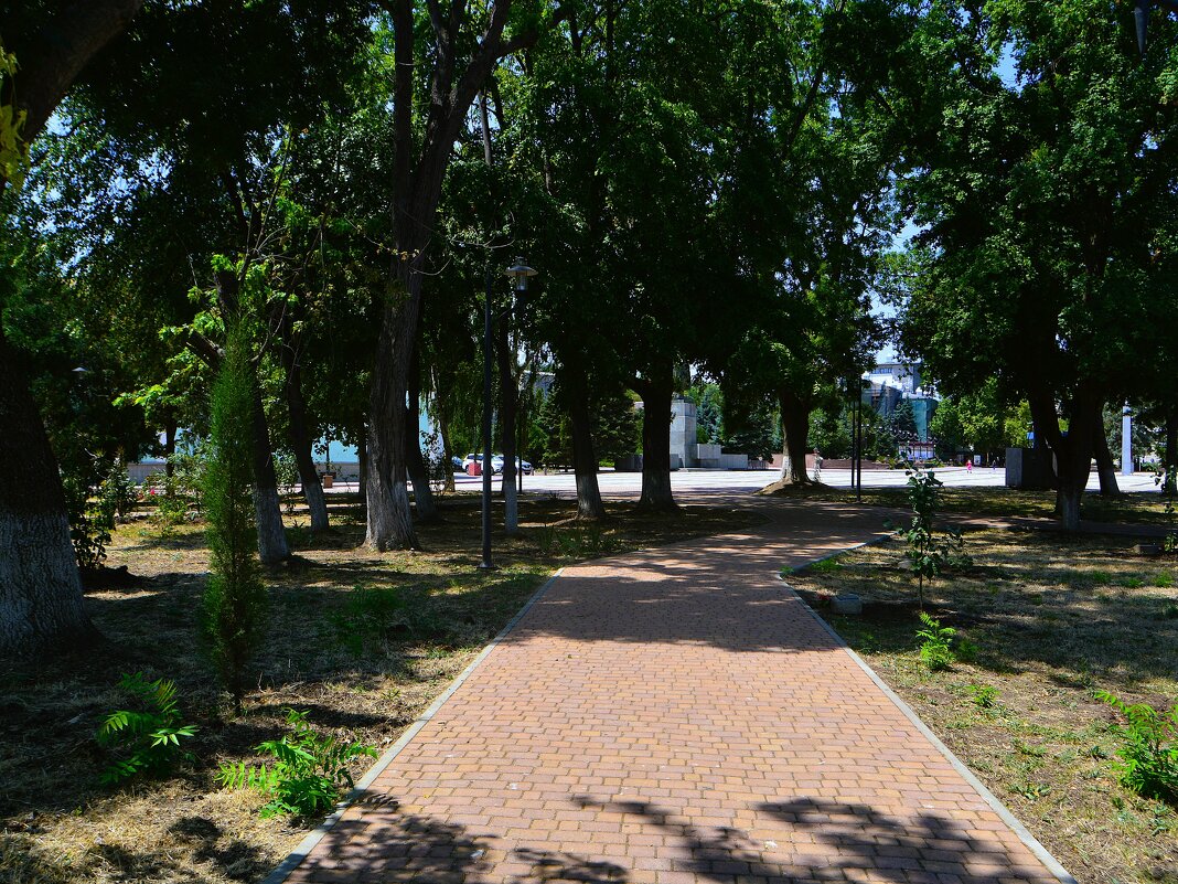 Керчь. Дорожки сквера «Алёнка» летом. - Пётр Чернега