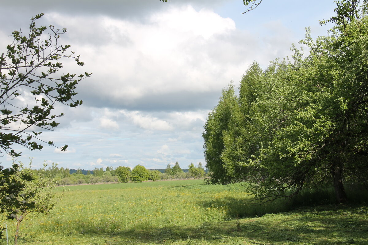 ВЕСЕННИЙ ПЕЙЗАЖ В ДЕРЕВНЕ - Валентина ВЕСЕННИЙ ПЕЙЗАЖ В ДЕРЕВНЕ - Валентина