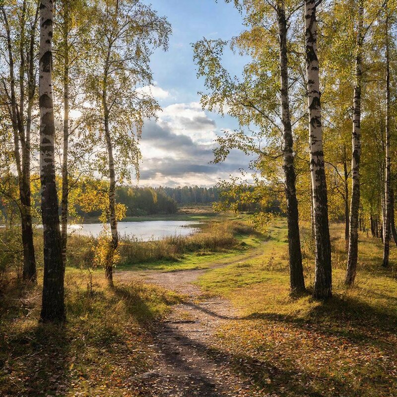 Пейзаж - СЕРГЕЙ ФИЛОЧКИН