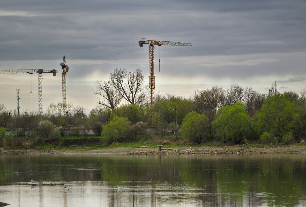 *** - Игорь Протасов