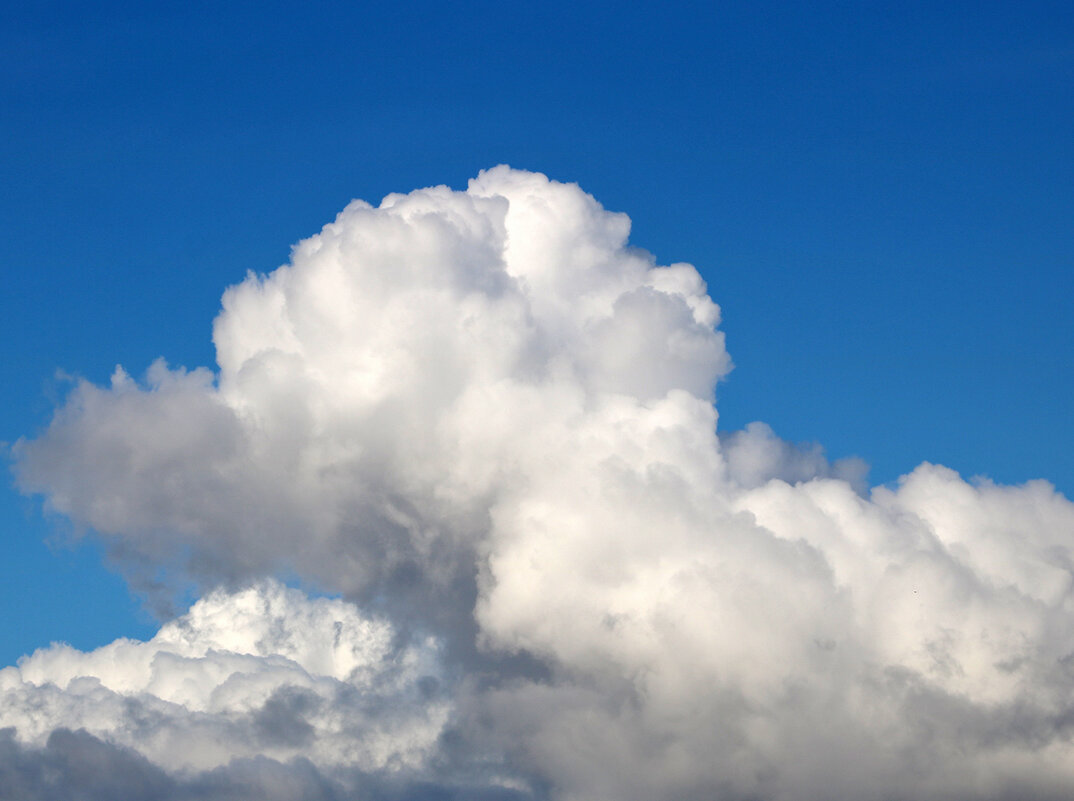 Спящая красавица... витает в облаках... - Светлана 