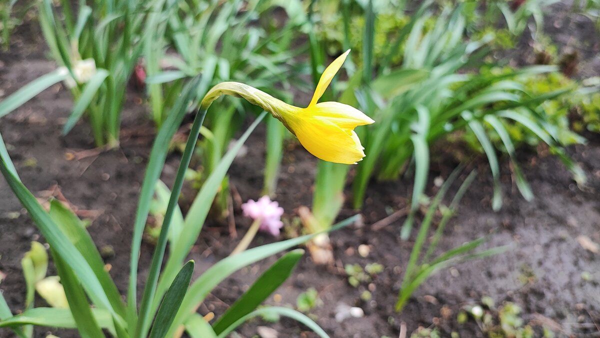 ,,, - Сергей Тимоновский