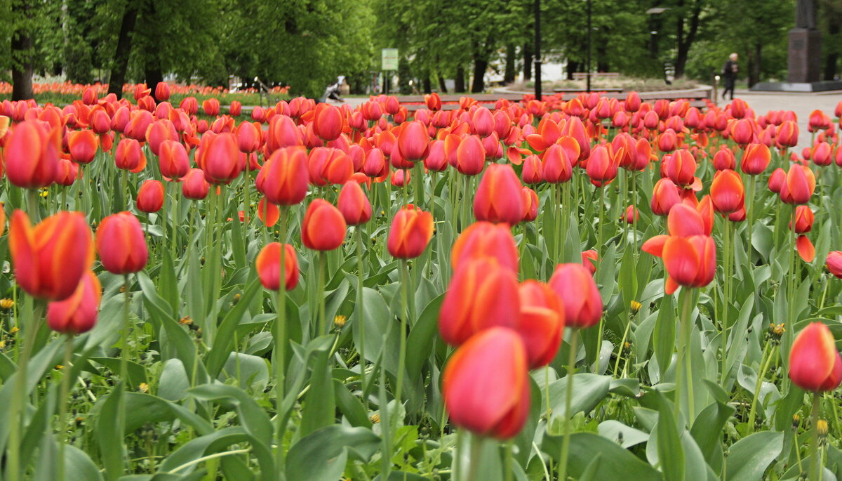 Апрель...(2024 г.) - Александр Герасенков