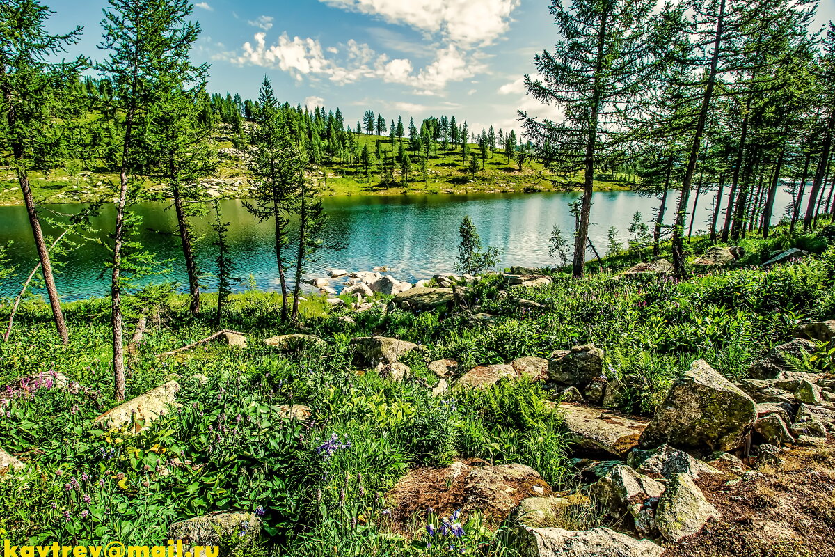 МАЛОУЛЬБИНСКОЕ ВОДОХРАНИЛИЩЕ - HART BAD