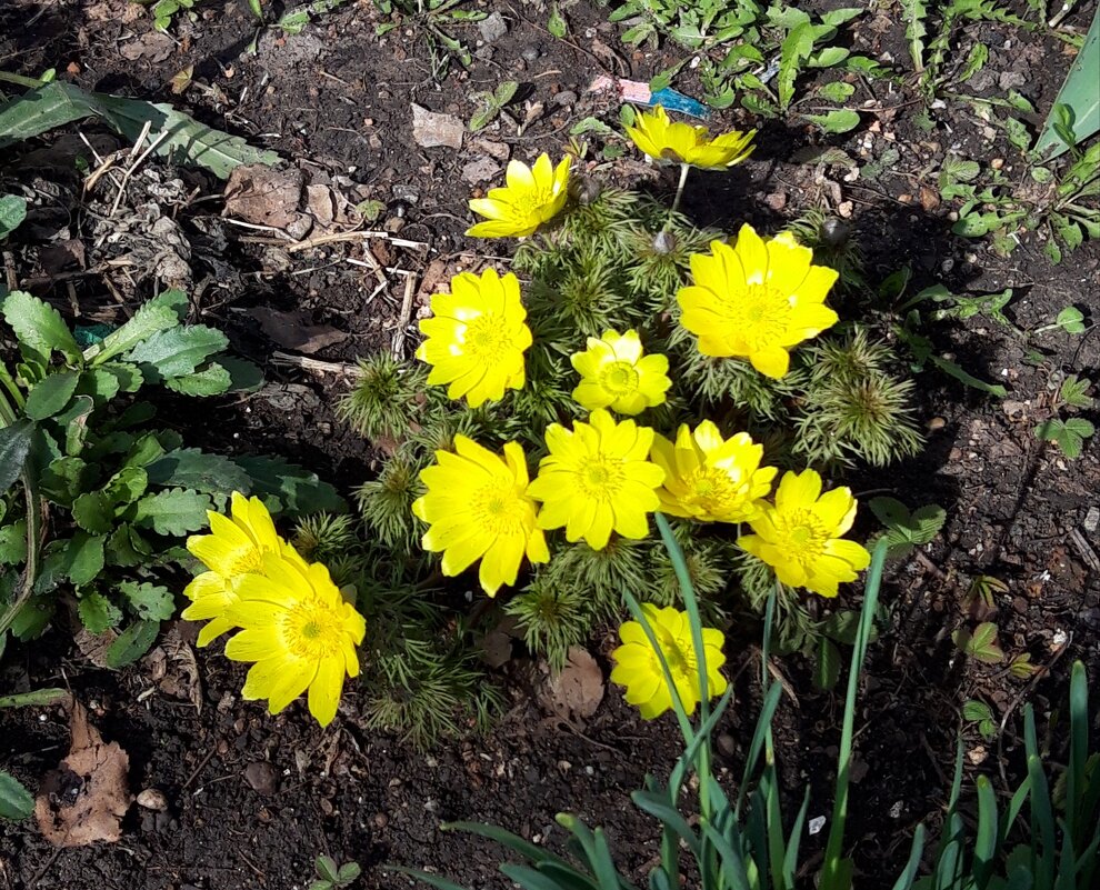 Апрель - Венера Чуйкова Апрель - Венера Чуйкова