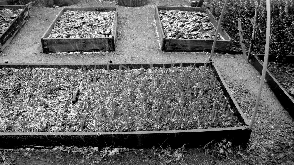 Мечты о ч/б Лейке 101. - Михаил Елочкин Мечты о ч/б Лейке 101. - Михаил Елочкин