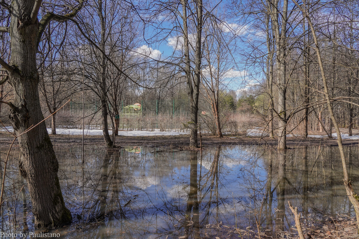 В весеннем парке... - Владимир Жданов