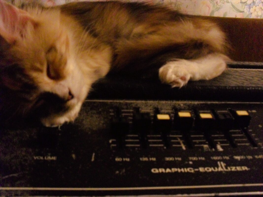 Звуковик уснул за работой - Nora Nowhere