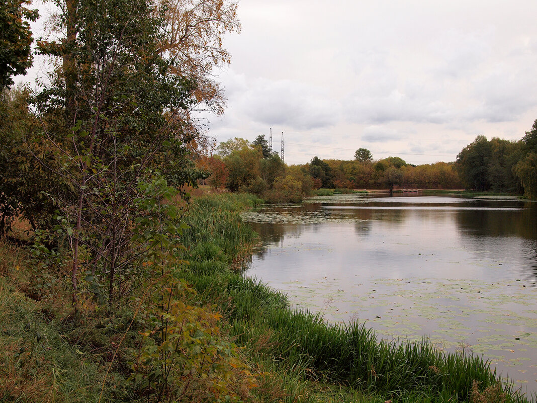 Верхний Кузьминский пруд - Игорь Белоногов Верхний Кузьминский пруд - Игорь Белоногов