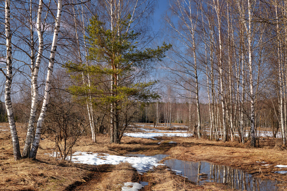 Накануне апреля ... - Roman Lunin