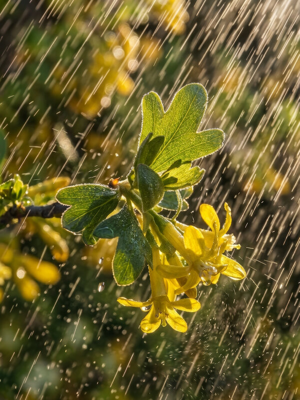 Хорошо весной - Валерий Ткаченко
