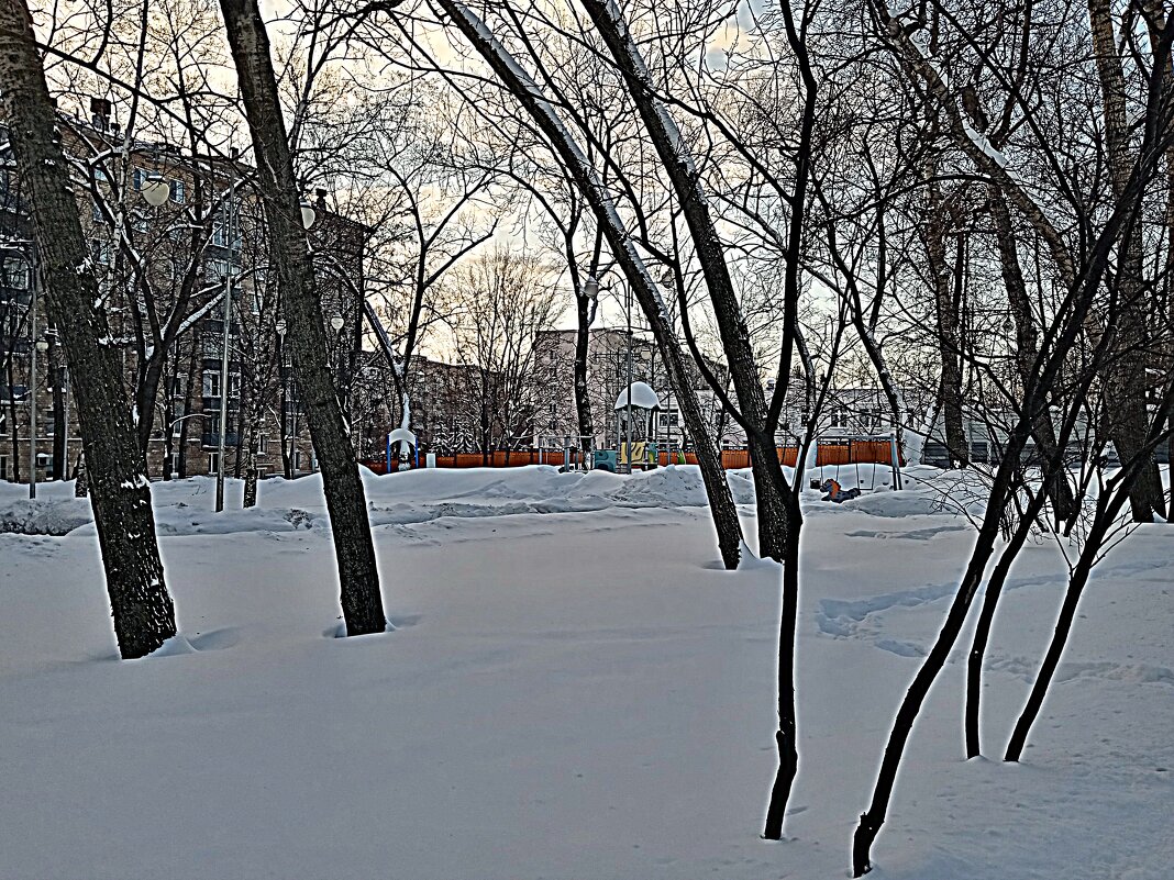 Зима. - Владимир Драгунский