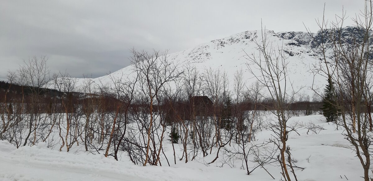 Весна в Хибинах - Ольга Весна в Хибинах - Ольга