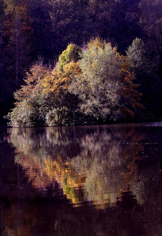 Царицыно 2 октября - Михаил Бибичков Царицыно 2 октября - Михаил Бибичков