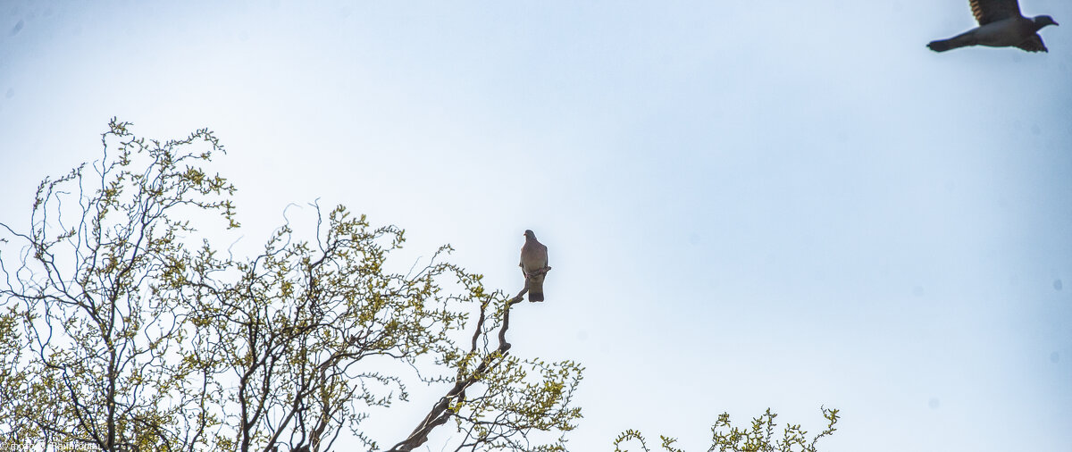 Весенний прифронтовой Белгород - Михаил Весенний прифронтовой Белгород - Михаил