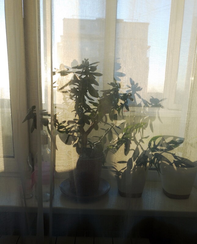 *** - Валентина Береснева