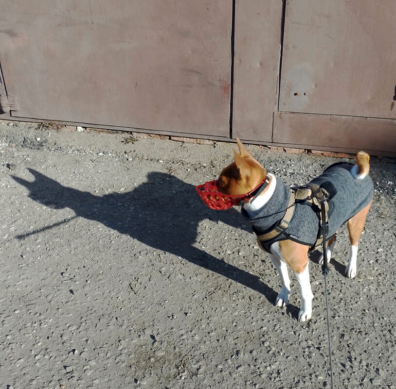 *** - Валентина Береснева