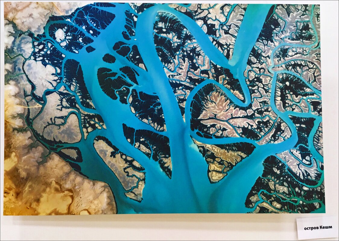 Удивительная Земля! - Надежда Удивительная Земля! - Надежда