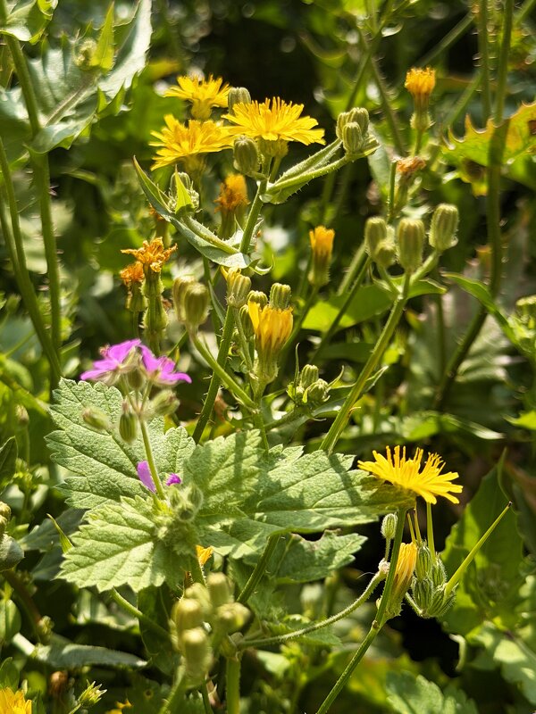 Весна - Александр Деревяшкин