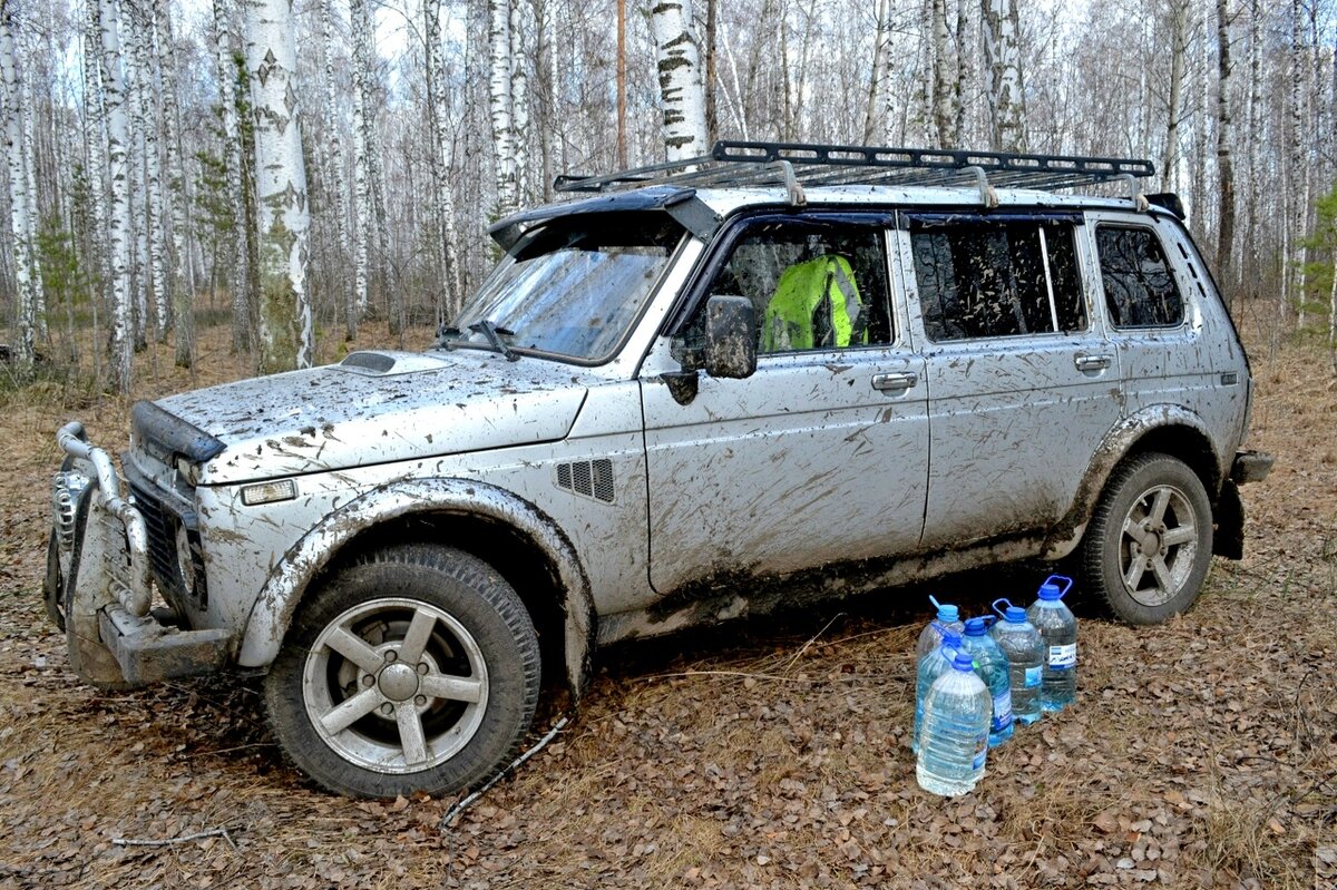 За берёзовым соком. - Михаил К