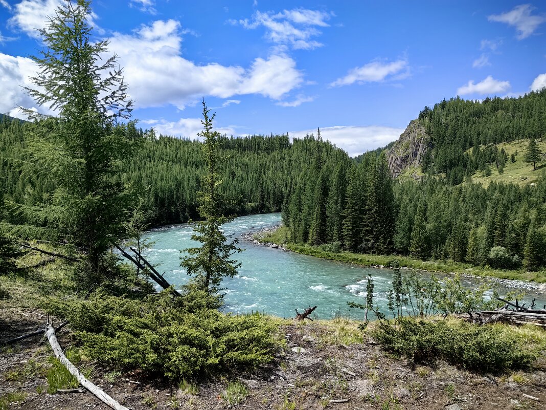 Прекрасный Алтай - Галина Козлова 