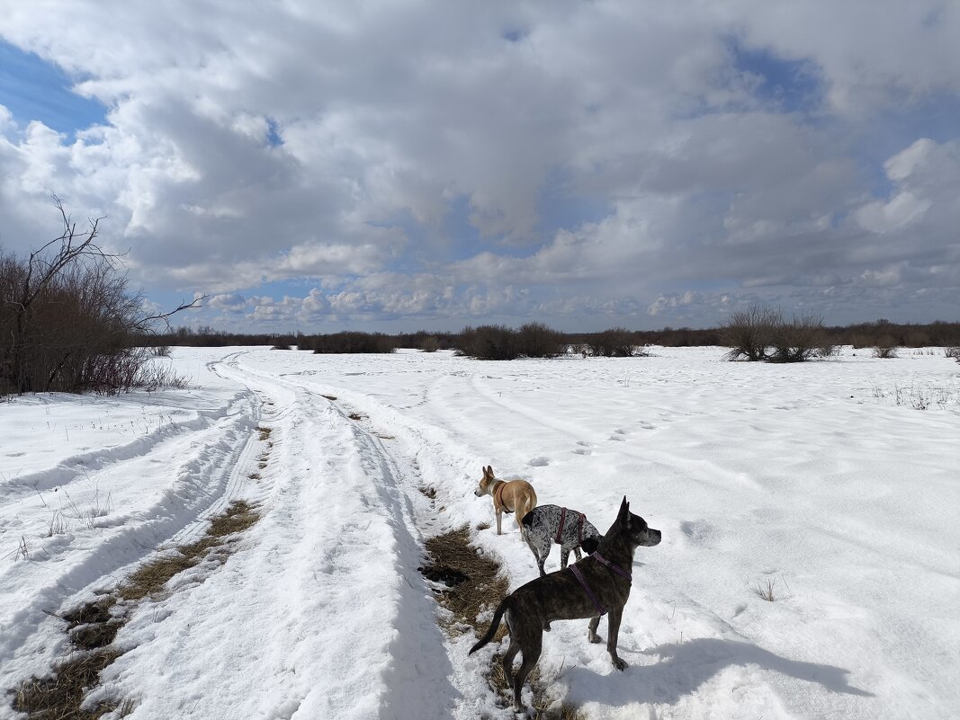 Облачный день - Anna Ivanova