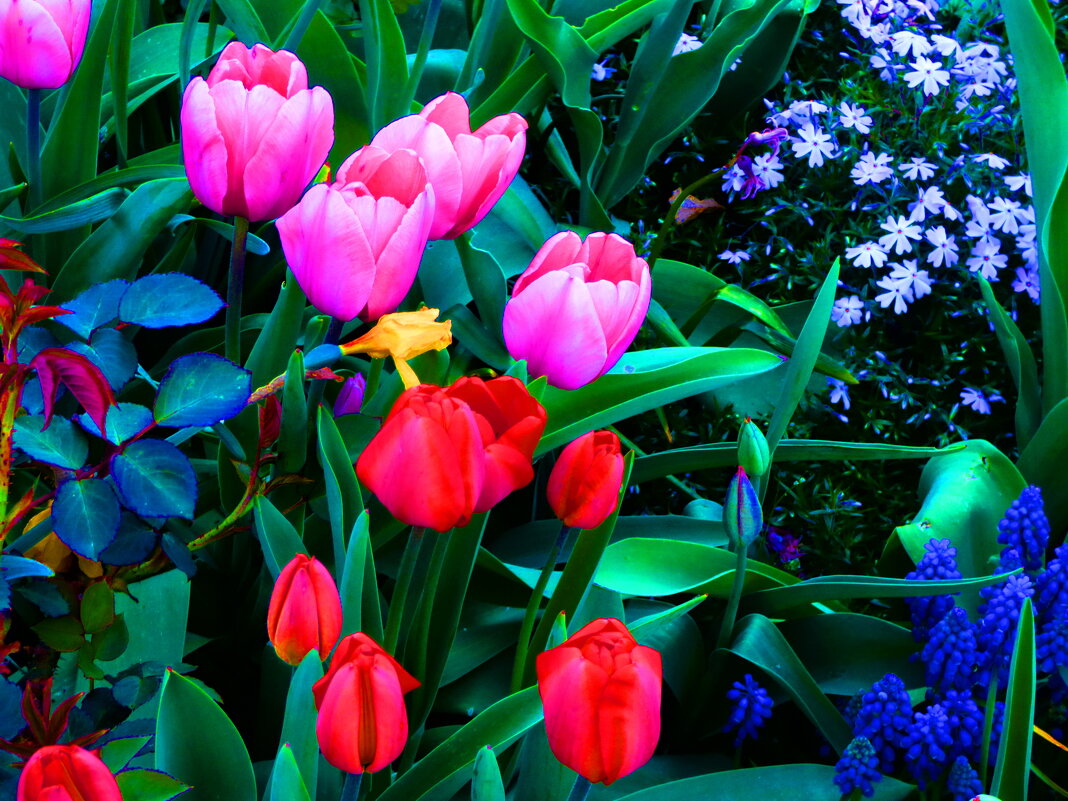 ВЕСЕННИЕ ЗАРИСОВКИ -3 - Елена Куприянова 