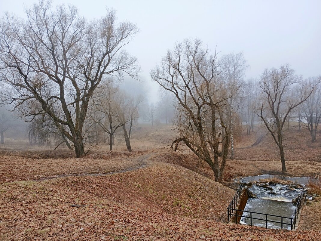 Туманно... - Лия ☼ Туманно... - Лия ☼