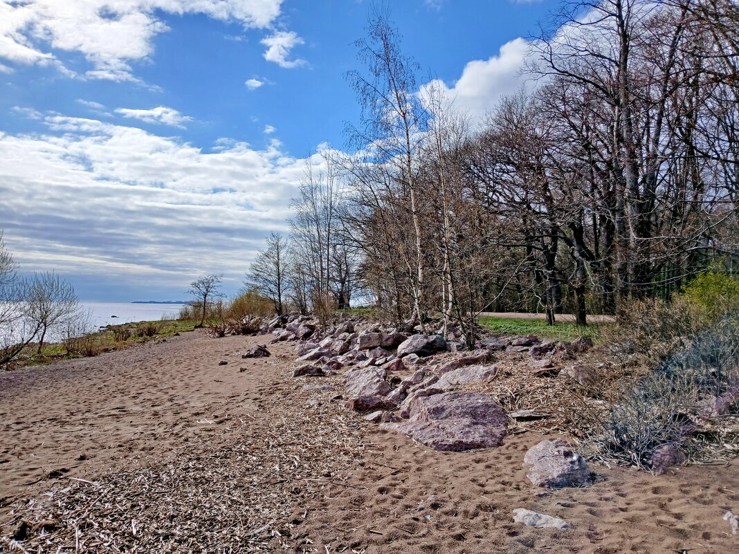 Берега Финского залива - Лия ☼ Берега Финского залива - Лия ☼