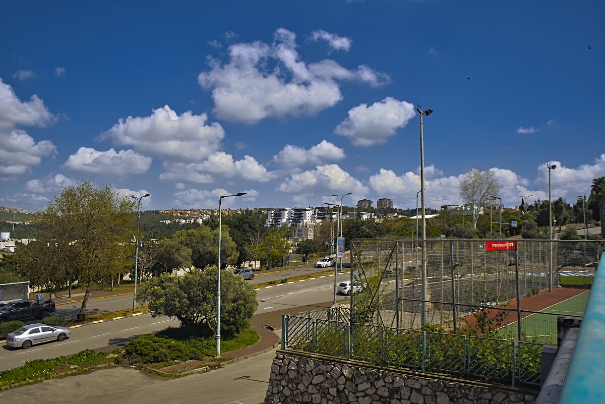 Мигдаль аЭмек  В  зелени 10,04,2026г - ujgcvbif 