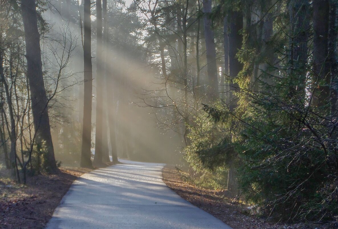 В утреннем свете.............. - Юрий Цыплятников