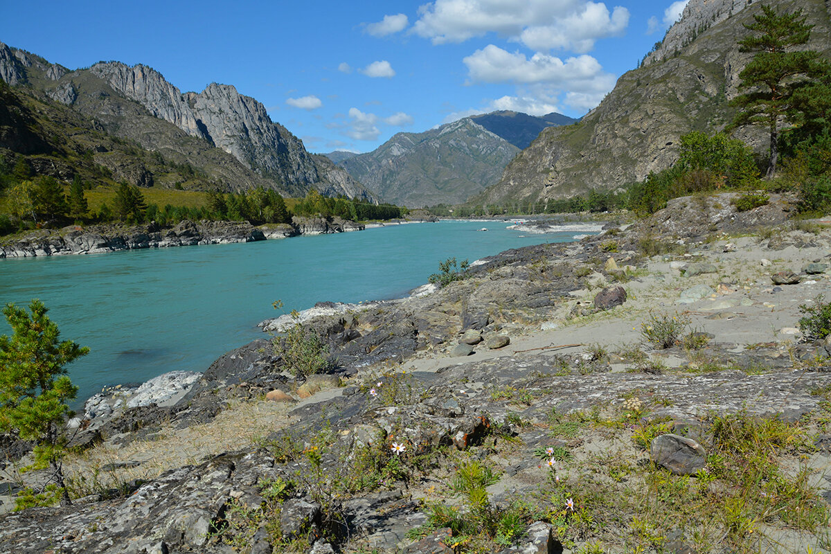 Перед Еландинским порогом - Валерий Медведев