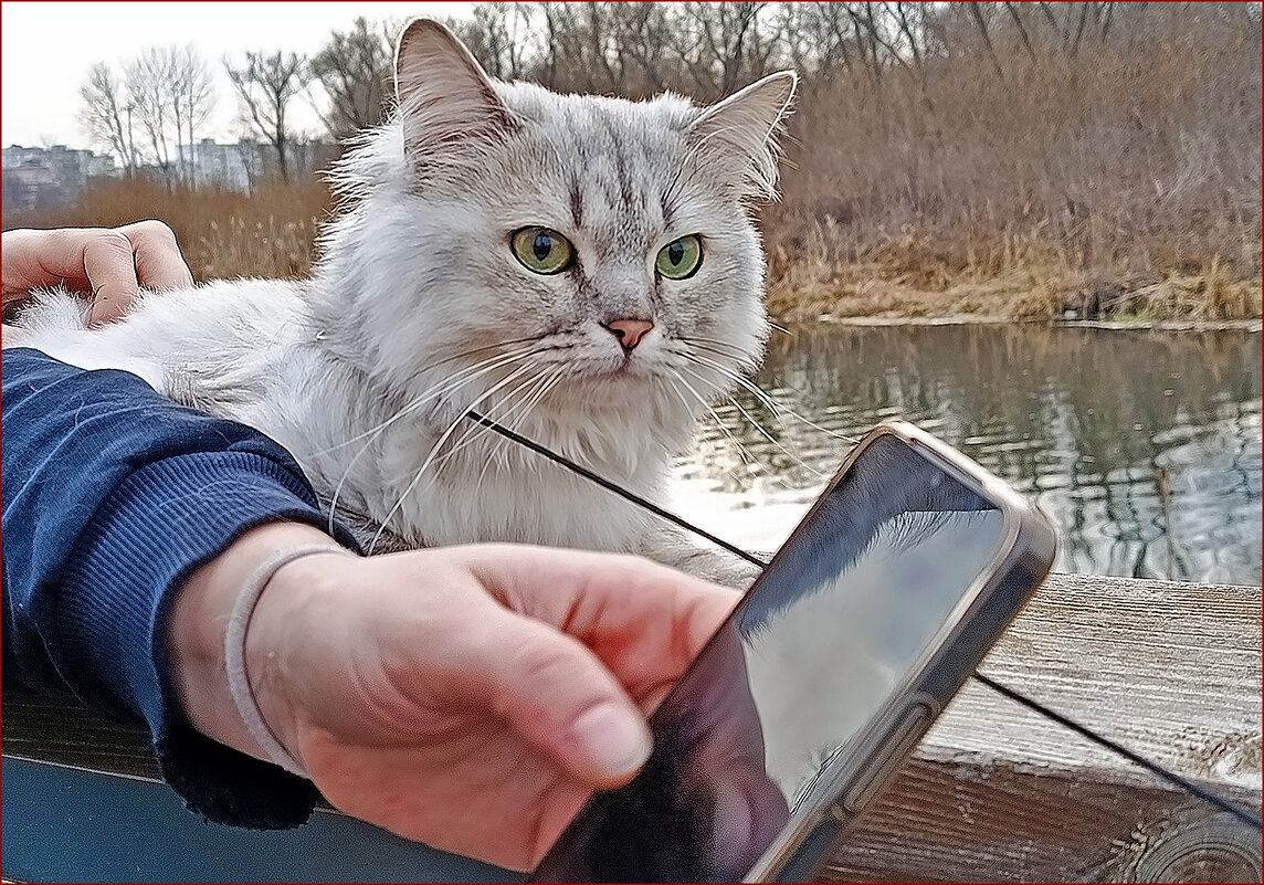 И я хочу мобильный! - Валентина Нефёдова И я хочу мобильный! - Валентина Нефёдова