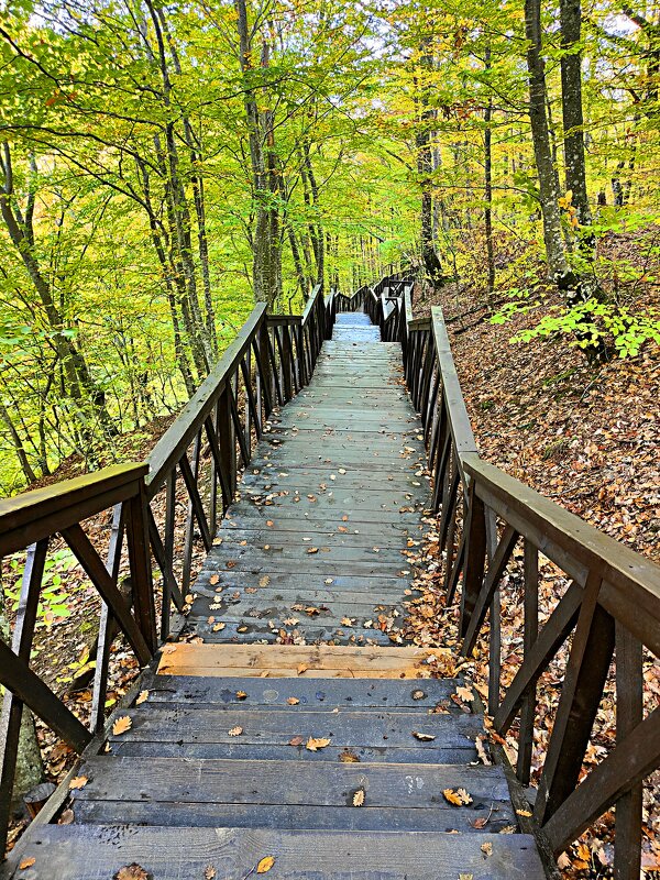 Экотропа с деревянными ступенями и перилами к водопаду Джур-Джур - Виктор Мухин