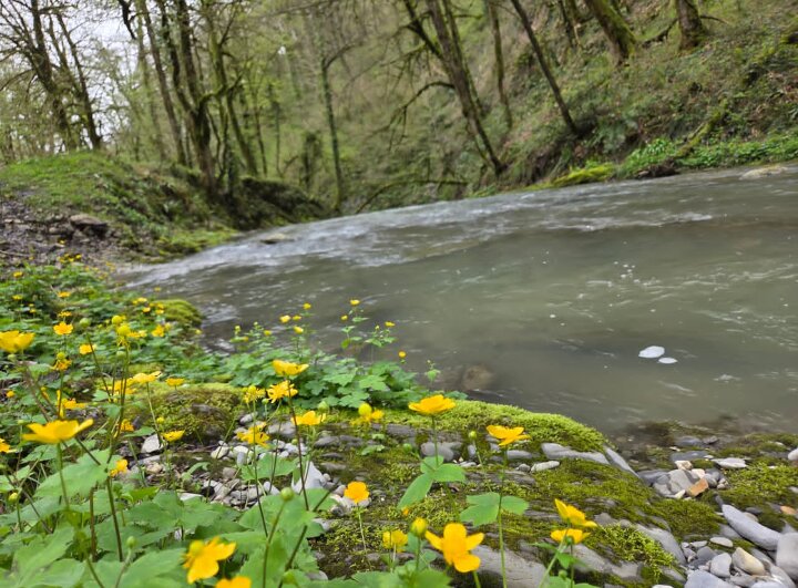 Река Бешенка - Tata Wolf