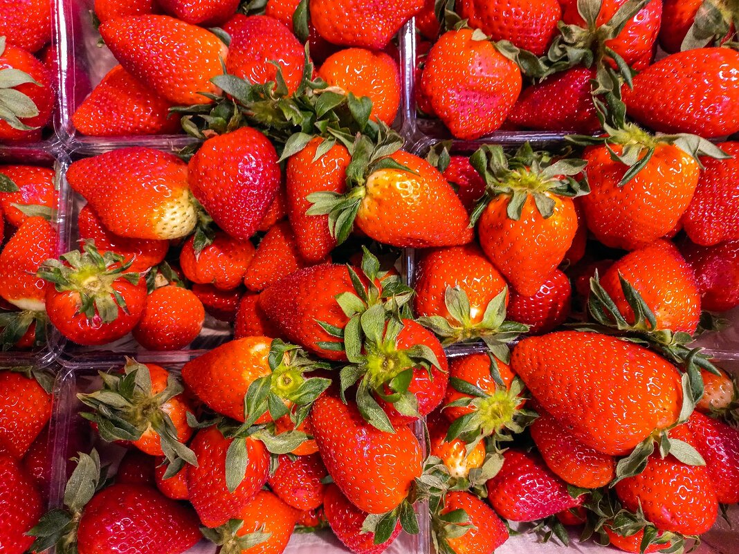 Клубничка из Греции - Валерий Иванович Клубничка из Греции - Валерий Иванович