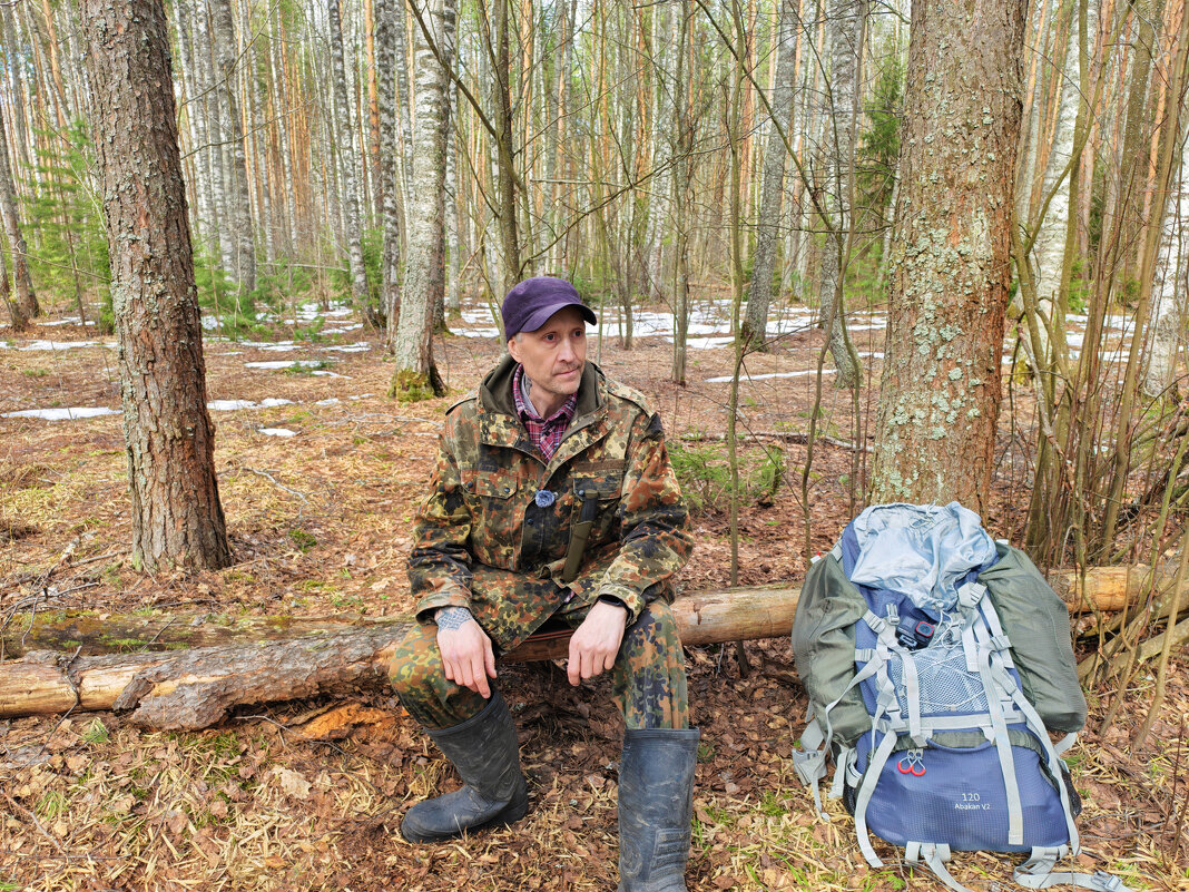 В весеннем лесу - Денис Бочкарёв