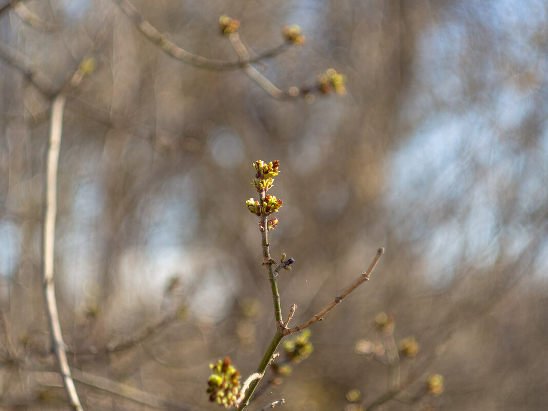 ___ - Yuriy V ___ - Yuriy V