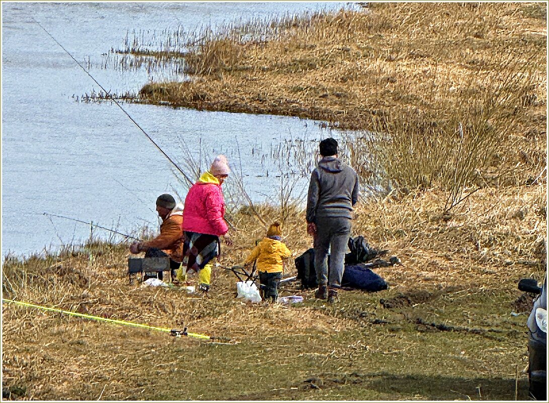Семейный отдых на реке. - Валерия Комова